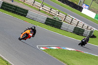 Middle Group Orange Bikes